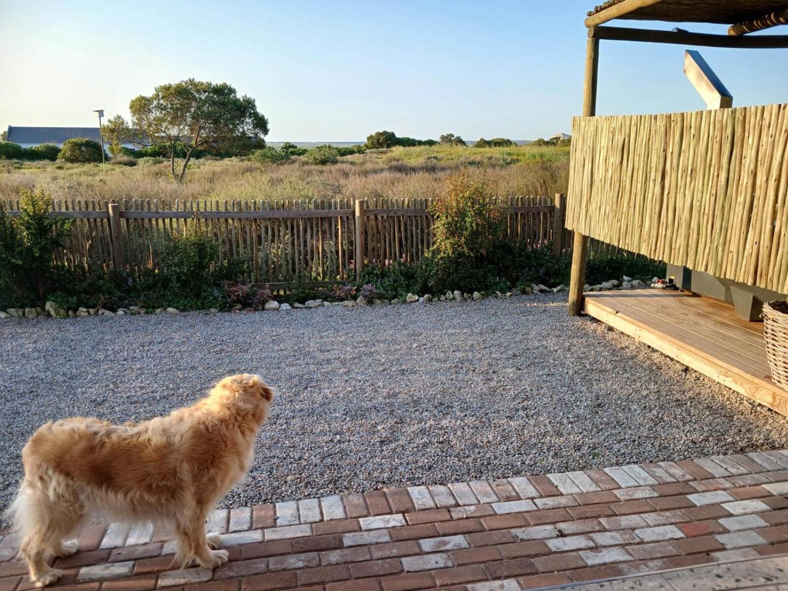 Camelot Cottages Langebaan Exteriör bild