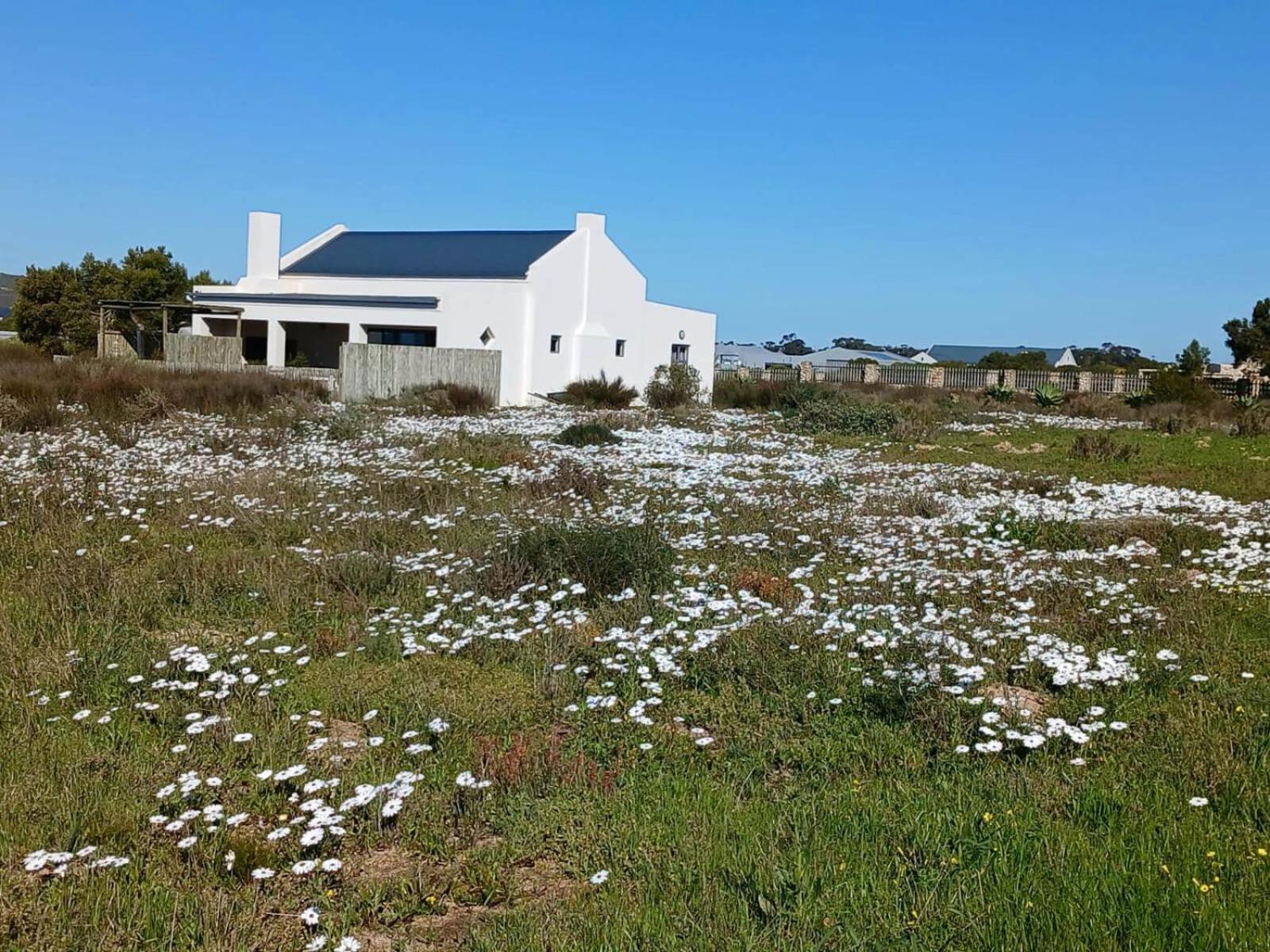 Camelot Cottages Langebaan Exteriör bild