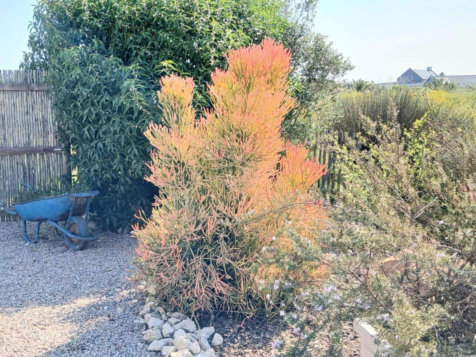 Camelot Cottages Langebaan Exteriör bild
