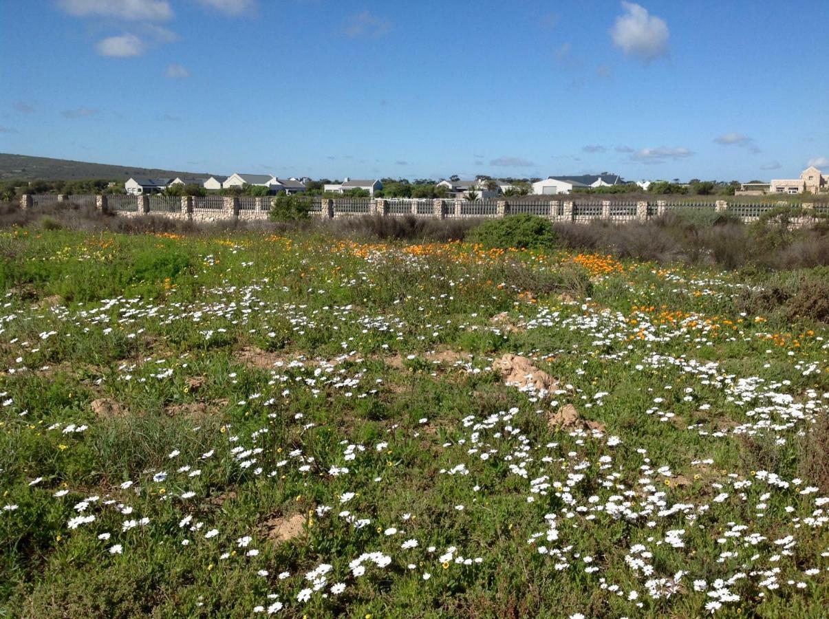 Camelot Cottages Langebaan Exteriör bild