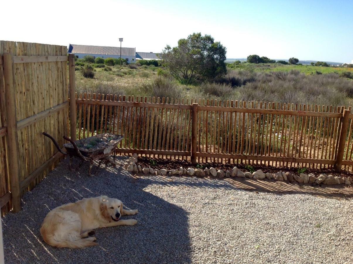 Camelot Cottages Langebaan Exteriör bild